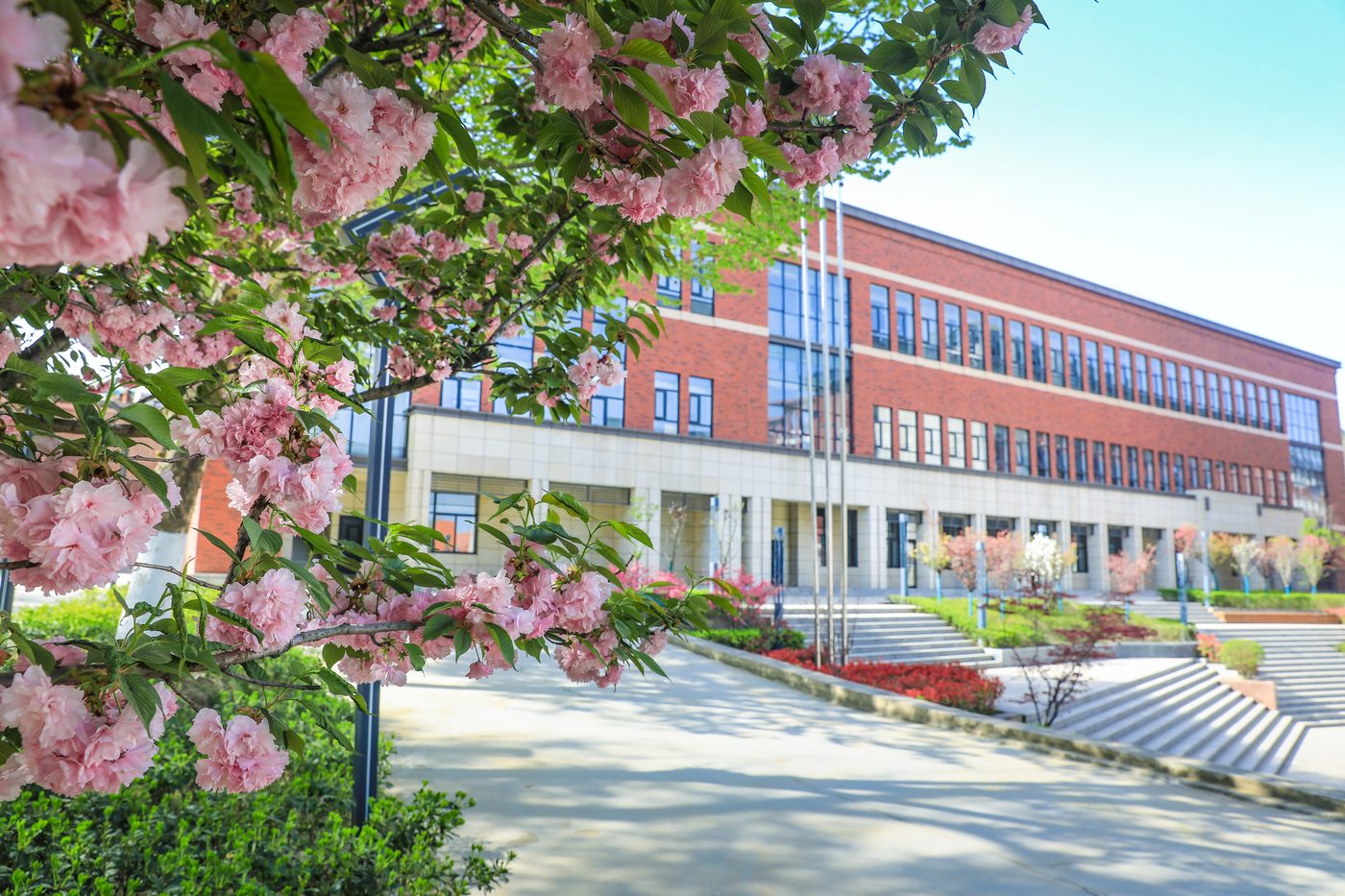 春日教学楼与樱花,校园环境优美 · 陕西单招集训校园实拍